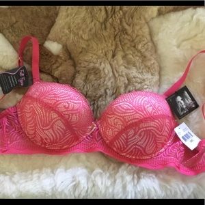 Daisy Fuentes lace bra NWT. Beautiful!